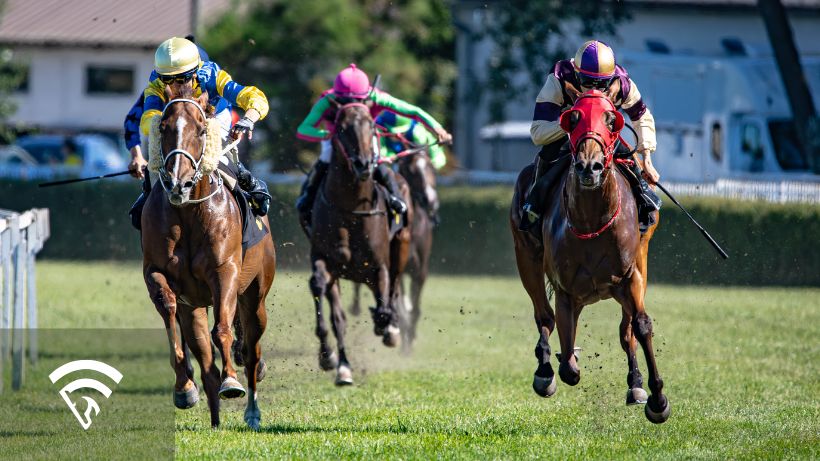 Horses racing representing sample size in horse racing analysis