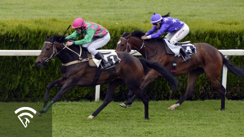 Close-up photo of two jockeys and horses representing strike rate in horse race betting