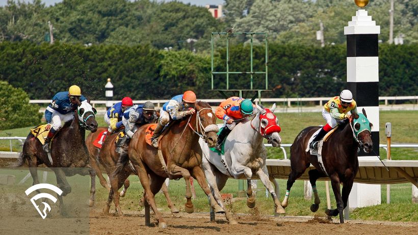 Horses racing representing true odds in horse racing