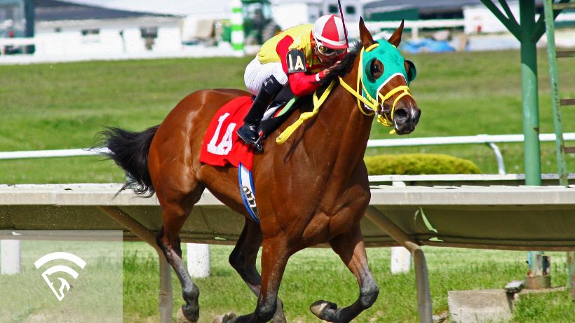 Horse and jockey racing representing variance in horse race betting