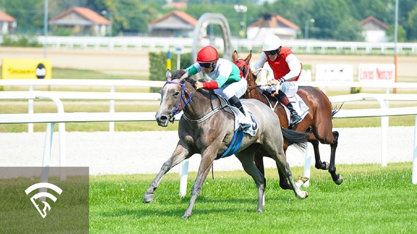 Horses racing representing the topic of a host track in simulcasting