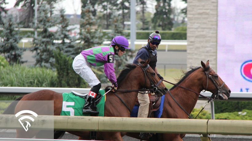 Horse and jockey representing the topic of a post parade