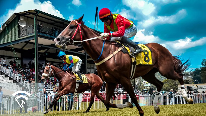 Horses racing at a track representing the topic of a simulcast signal