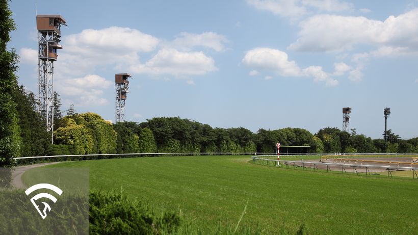 Horse racing track representing the topic of a track announcer in horse racing