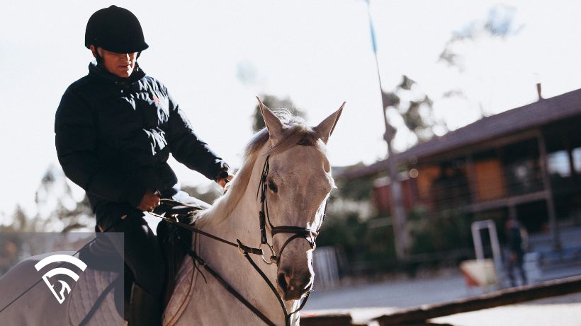 Trainer on a race horse representing the topic of a paddock analysis