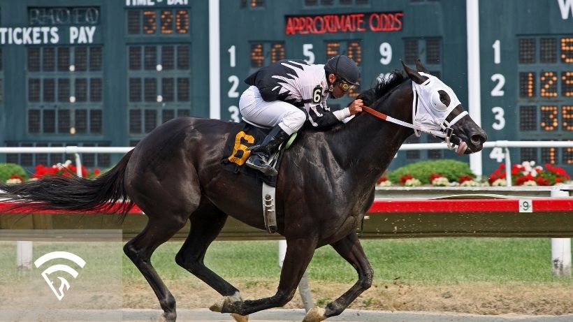 Horse racing representing the topic of a betting exchange