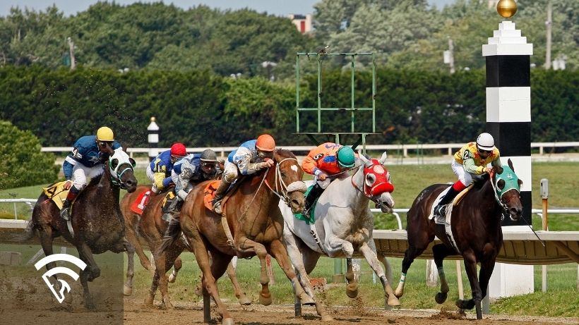 Horse race representing the topic of a dutching calculator