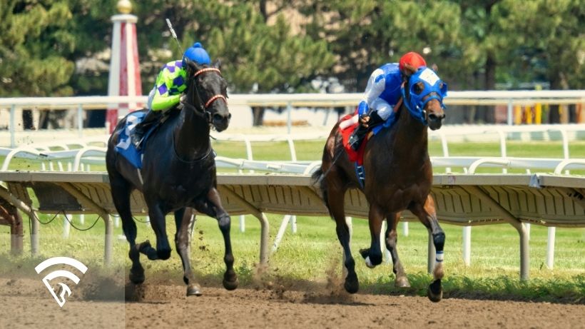 Horses racing representing the topic of a pinned ears on a racehorse