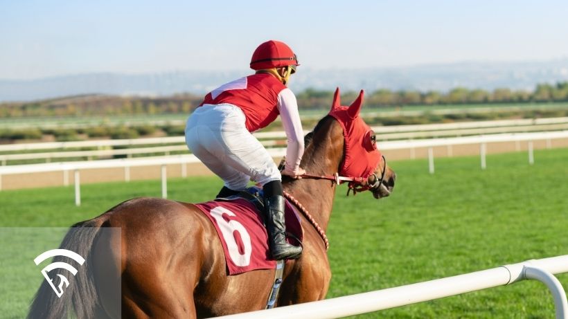 Horse and jockey representing the topic of kidney sweat from a racehorse