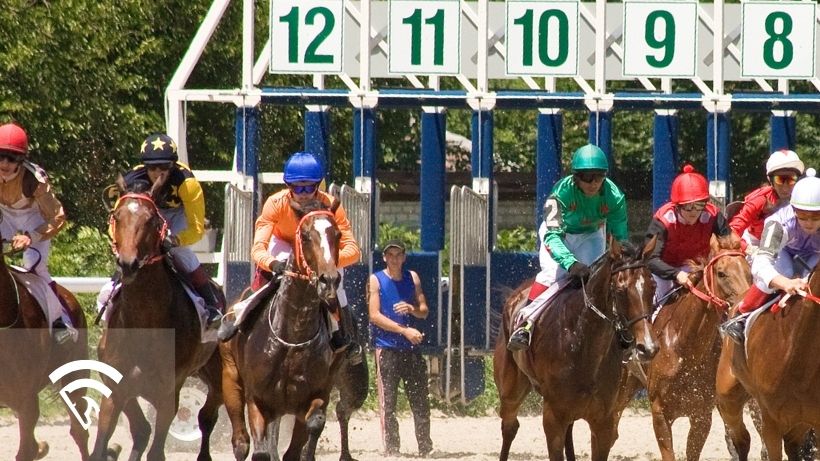 Horses racing leaving the starting gate representing what 'on his toes' means in horse racing