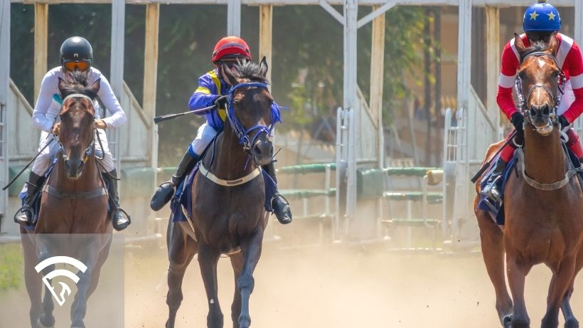 Horses racing representing the topic of gate tantrum in horse racing