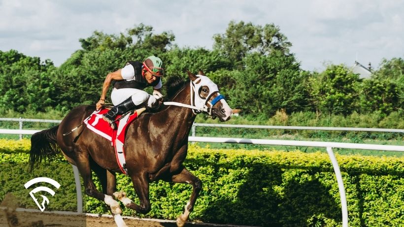 Horse and jockey riding representing the topic of greenness in racehorse paddock demeanor