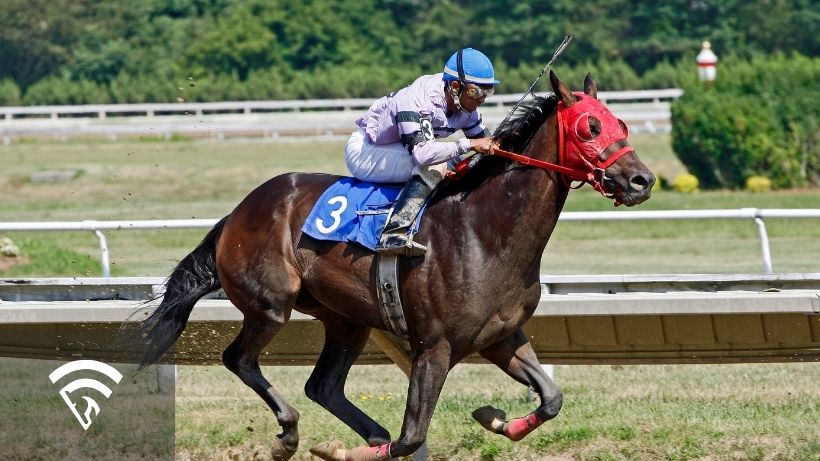 Close-up photo of horse and jockey racing representing the topic of a jig-stepping