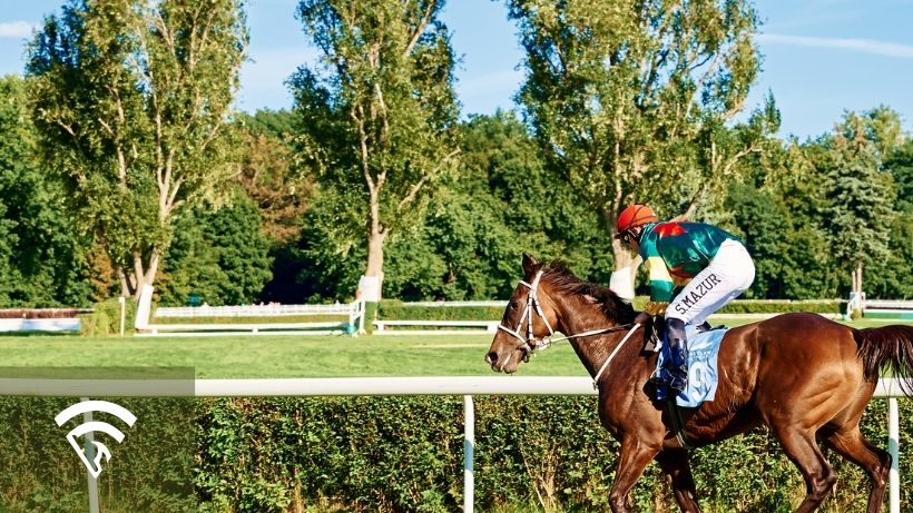 Single horse and jockey representing tail swishing and head tossing in horse racing