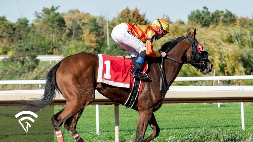Close-up of a horse and jockey representing the topic of a warm-up demeanor in the post parade
