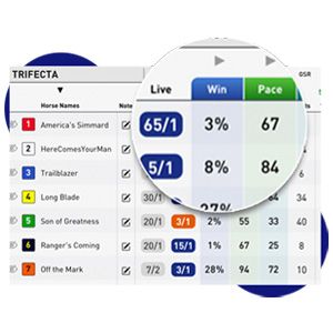 Screenshot of EE Win Percentage metric for horse racing