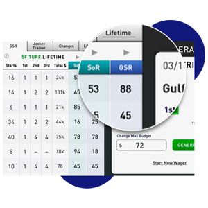 Screenshot of Genetic Strength Rating (GSR) horse racing metric