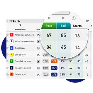 Screenshot of Strength of Race (SoR) horse racing metric